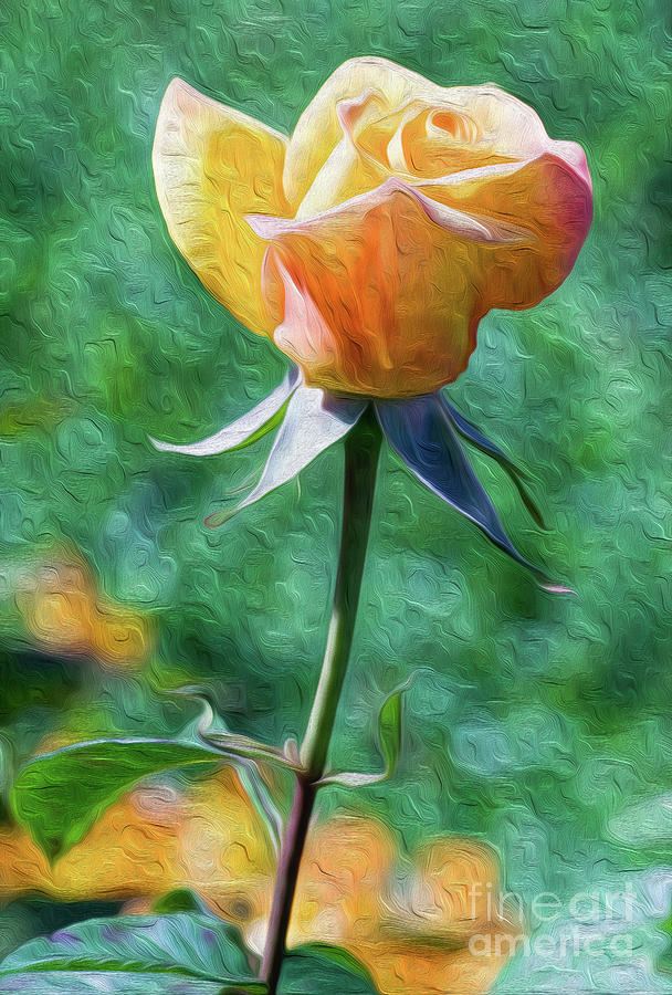 Rose Prominence II Digital Art by Kenneth Montgomery