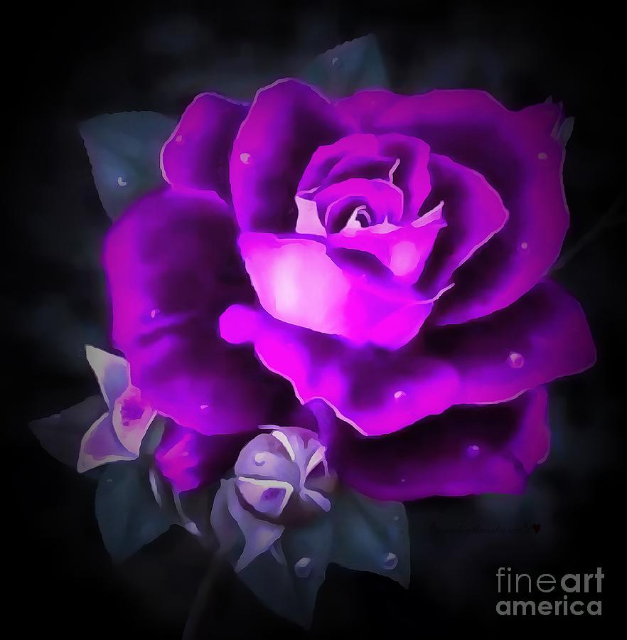 Rose Purple by Catherine Lott Rose Purple by Catherine Lott