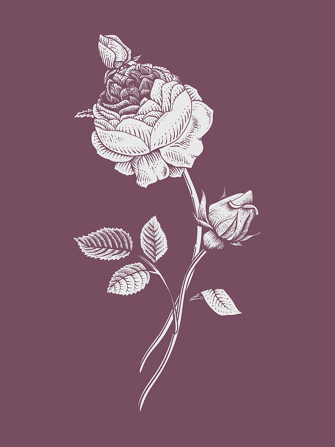 Spring Mixed Media - Rose Purple Flower by Naxart Studio