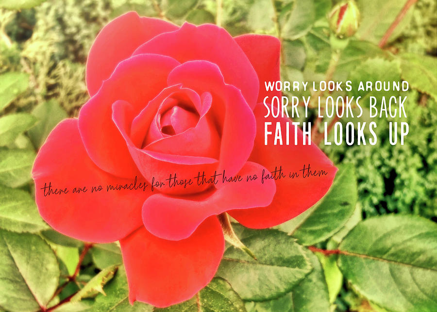 ROSE RED quote Photograph by JAMART Photography
