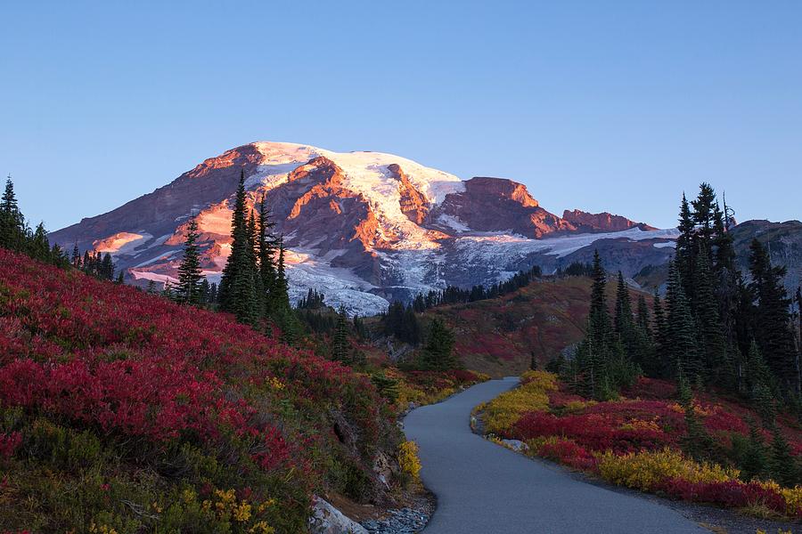 Rose tinted Mount Rainier Photograph by Lynn Hopwood