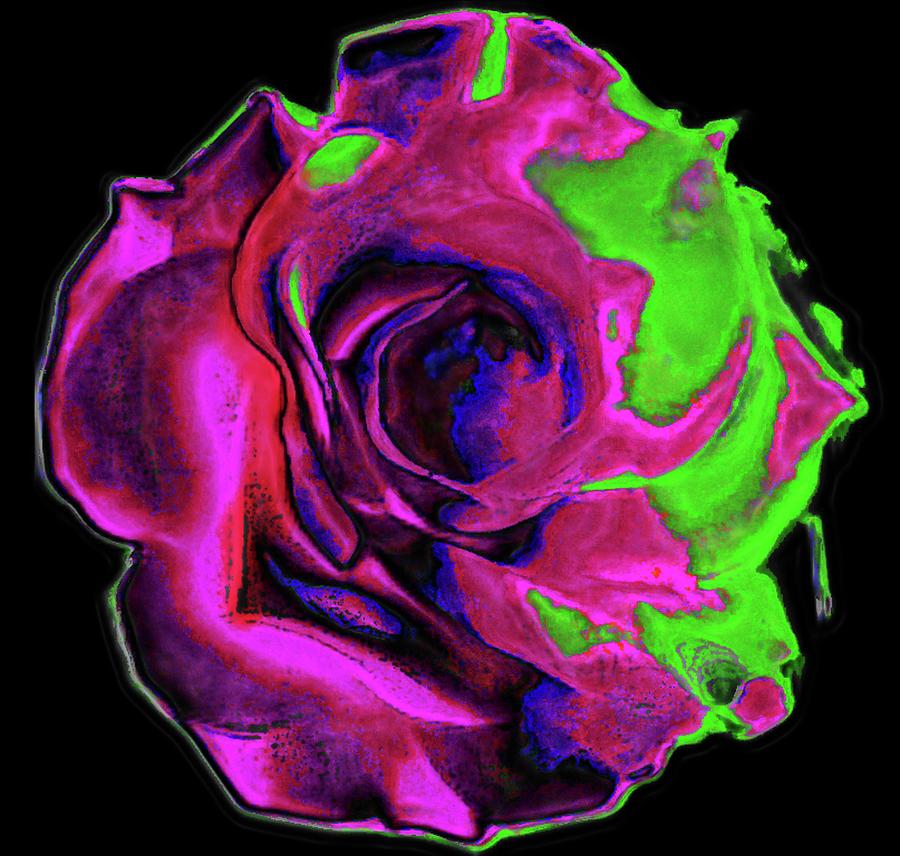 Flowers Still Life Digital Art - Rose by Tori Pollock