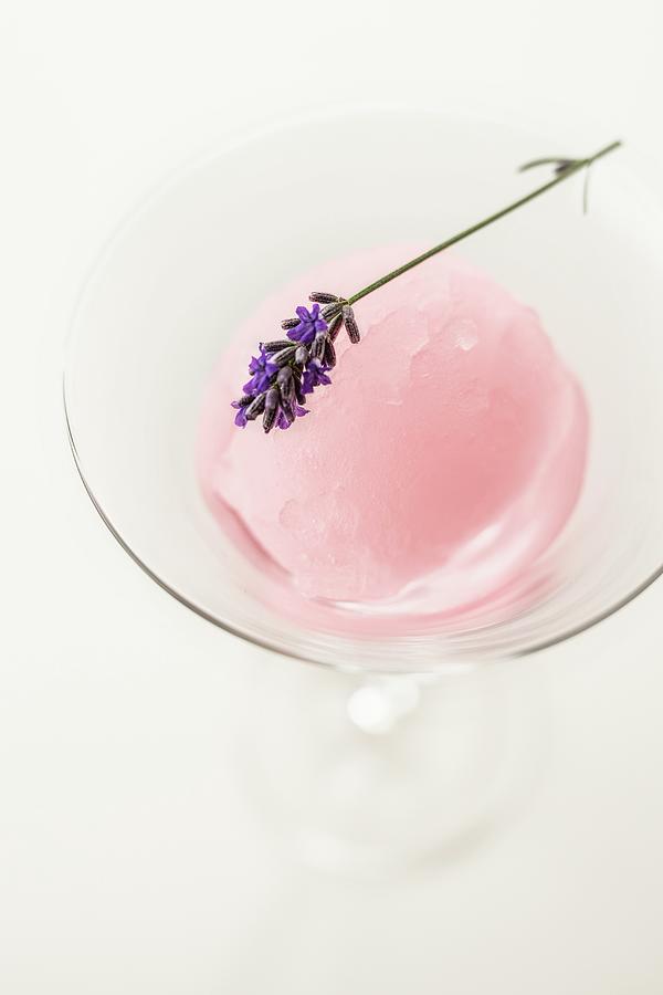 Rose Wine Sorbet With Lavender Photograph by Jan Wischnewski