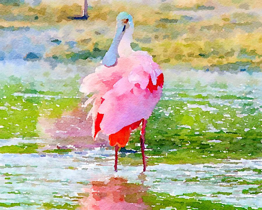 Roseate Spoonbill Watercolor Mixed Media by Susan Rydberg