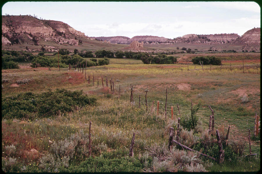 Landscape Photograph - Rosebud Ranch by American Eyes
