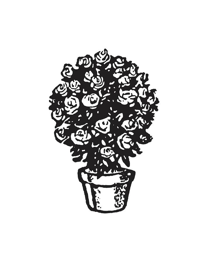 still life- flower pot | A. G. Rufus-saigonsouth.com.vn