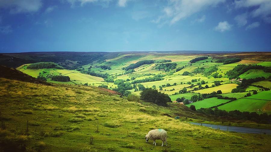 Rosedale North Yorks Moors Photograph by Mark Egerton