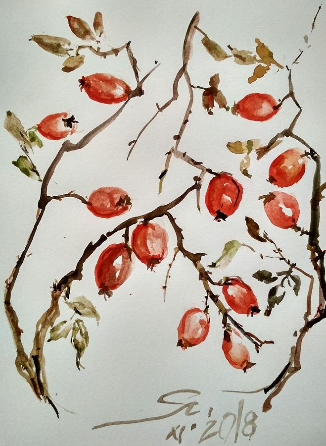 Rose Hip Drawings for Sale - Fine Art America