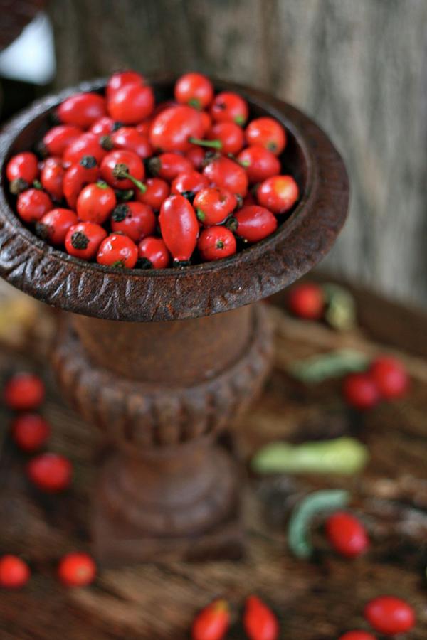 Rosehips In Rusty Iron Vase Photograph by Alexandra Panella
