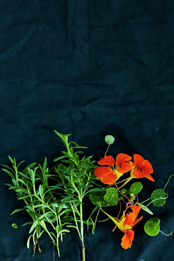 Rosemary And Nasturtiums On A Dark Surface Photograph by Katrin Winner