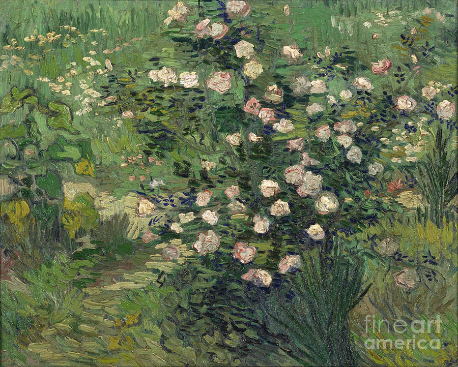 Roses, 1889. Artist Gogh, Vincent, Van Drawing by Heritage Images