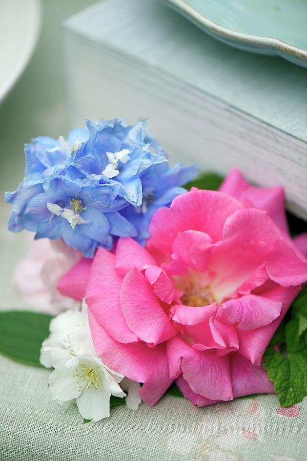 Roses And Hydrangeas Decorating Summer Buffet Table close-up Photograph by Winfried Heinze