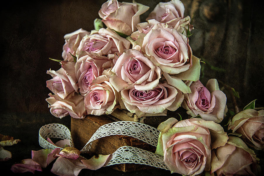 Roses and Lace Photograph by Cindi Ressler