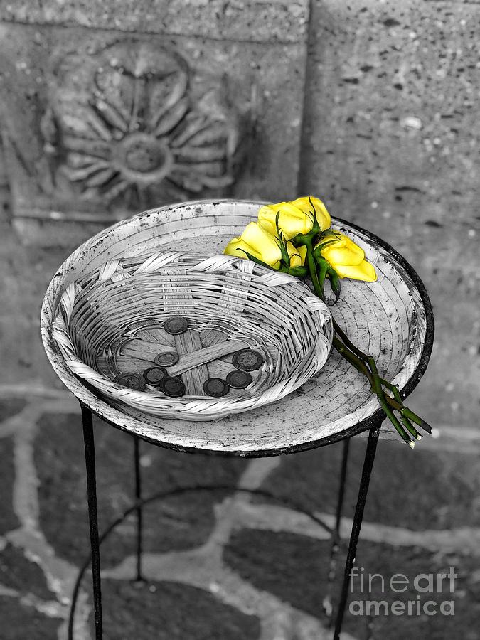Roses and Pesos Photograph by Diana Rajala