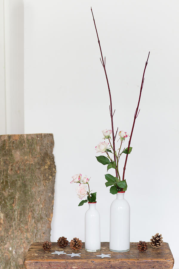 Roses And Twigs In Two White Vases On Stool Photograph by Iris Wolf