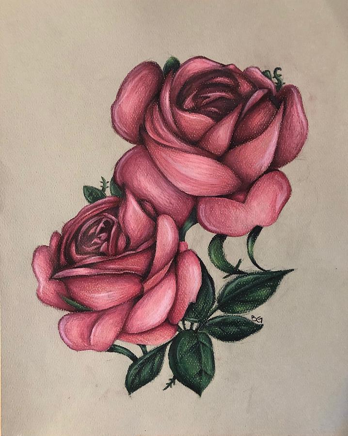 Roses Drawing By Brianne Garofalo