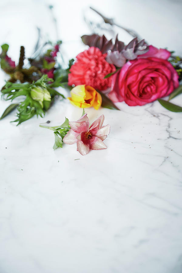 Roses, Carnation, Anemone And Eucalyptus Sprig Photograph by Nicoline Olsen