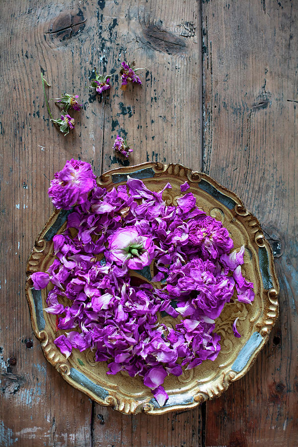 Roses Drying On Antique Plate Photograph by Alicja Koll