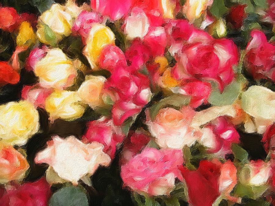 Roses Galore Photograph