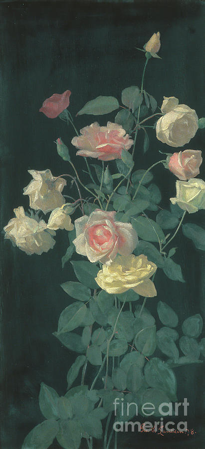 Roses Drawing by Heritage Images