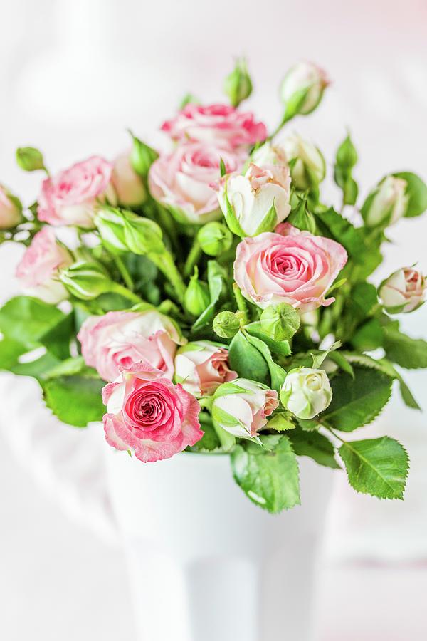 Roses In A Vase Photograph by Emma Friedrichs