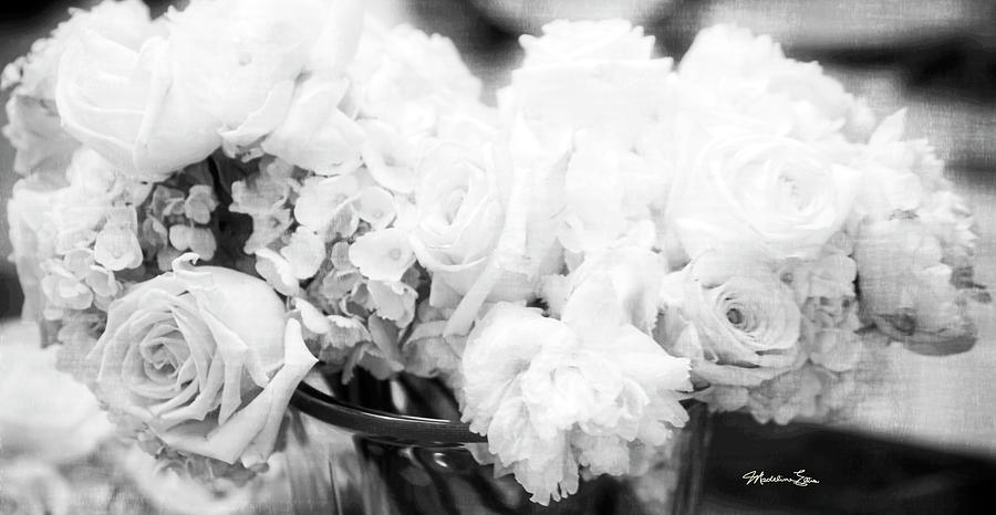 Roses In Black And White 2 Photograph by Madeline Ellis