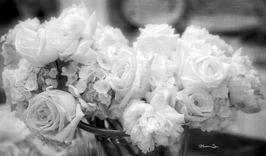 Roses In Black And White 1 Photograph by Madeline Ellis