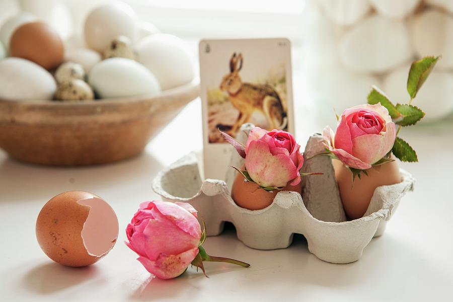 Roses In Eggshells And Vintage Playing Card With Picture Of Hare Arranged In Eggbox Photograph by Moog & Van Deelen