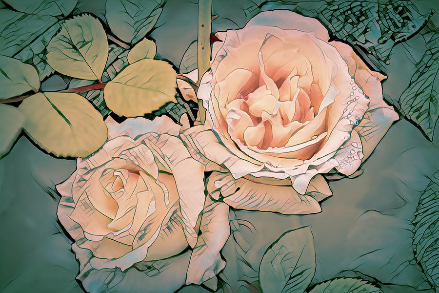 Roses in peach Digital Art by Cathy Anderson
