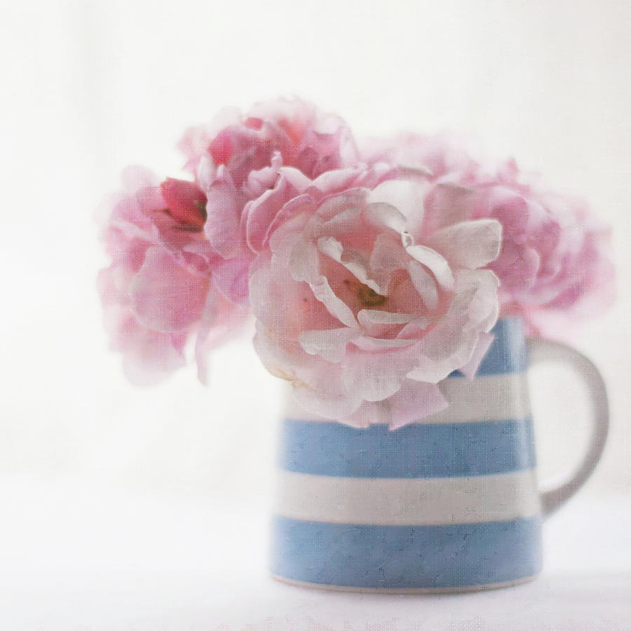 Roses In Striped Jug Photograph by Jill Ferry