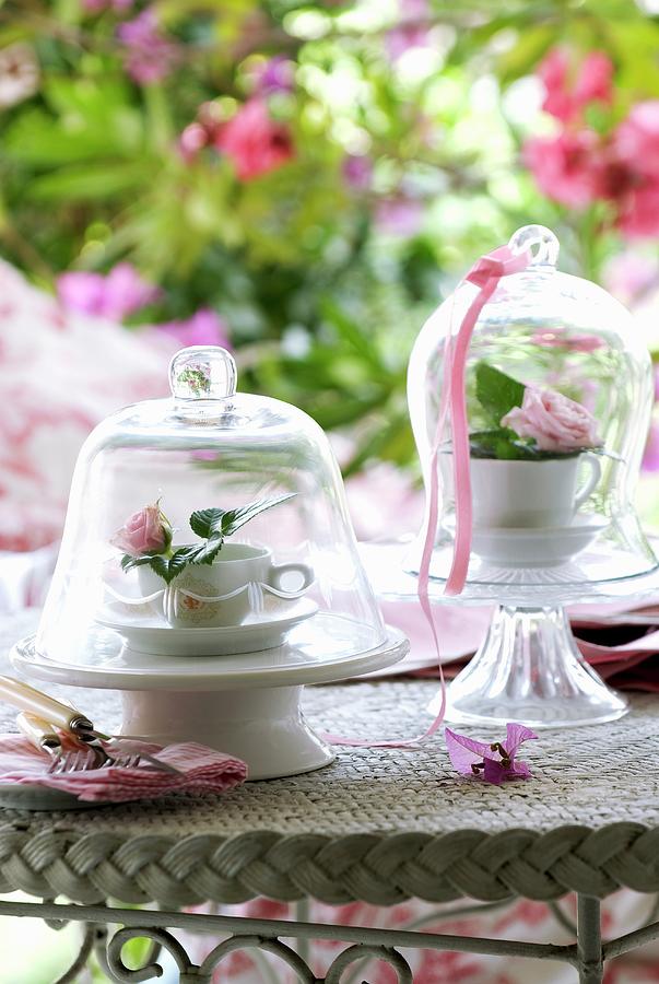 Roses In Teacups Under Bell Jars On Garden Table Photograph by Matteo Manduzio