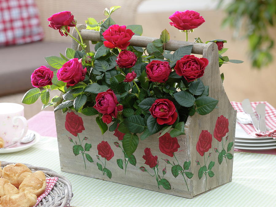 Roses In Wooden Carrier With Napkin Technique Photograph by Friedrich Strauss
