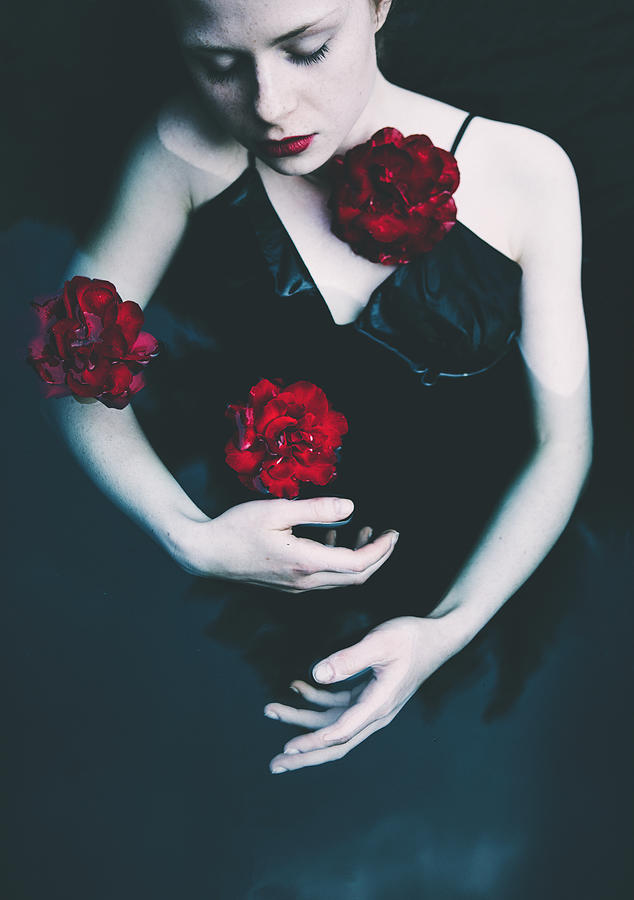 Roses Photograph by Magdalena Russocka