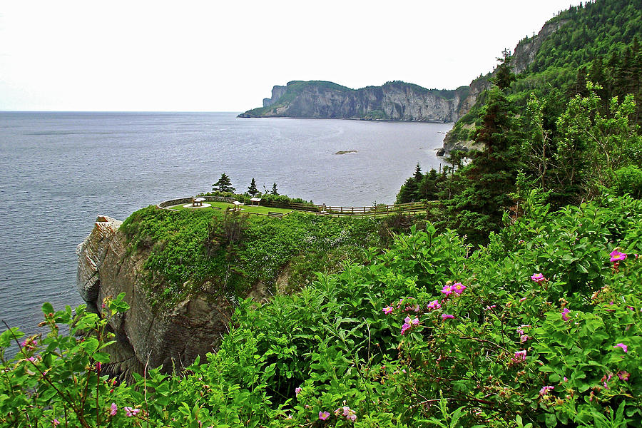 Roses over Cap-Bon-Ami in Forillon National Park, Quebec, Canada  Photograph by Ruth Hager