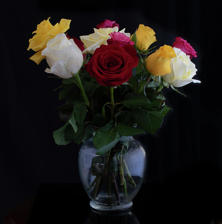 Roses Photograph by Vicky Edgerly