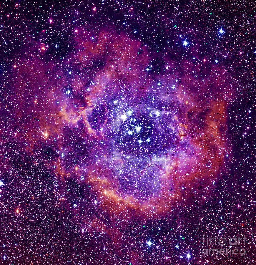 Cluster Photograph - Rosetta Nebula by Mironov Cluster Photograph - Rosetta Nebula by Mironov
