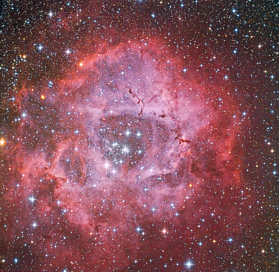 Rosette Nebula Caldwell 49 Photograph by Astrophotography By Terry Hancock Used With Permission