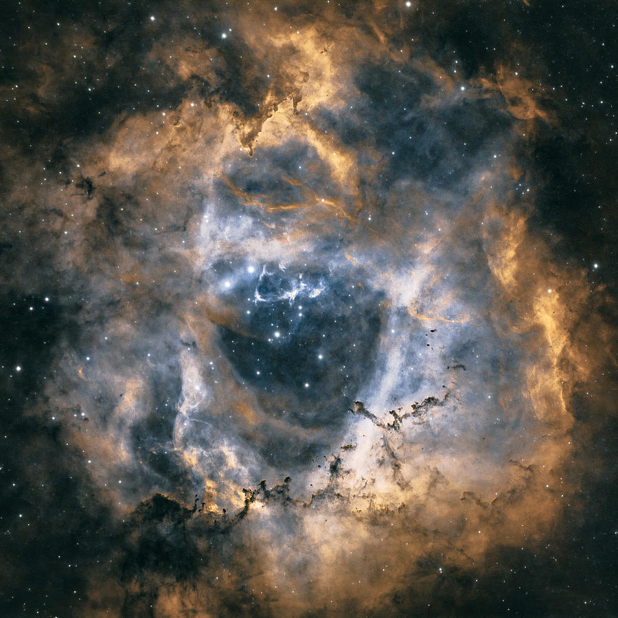 Rosette Photograph - Rosette Nebula by Magnus Renmyr