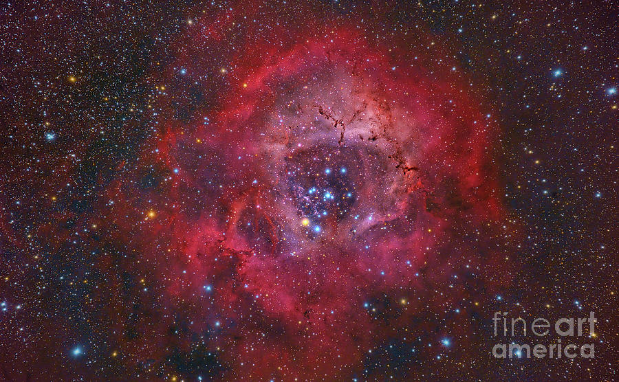Rosette Nebula Photograph by Miguel Claro/science Photo Library