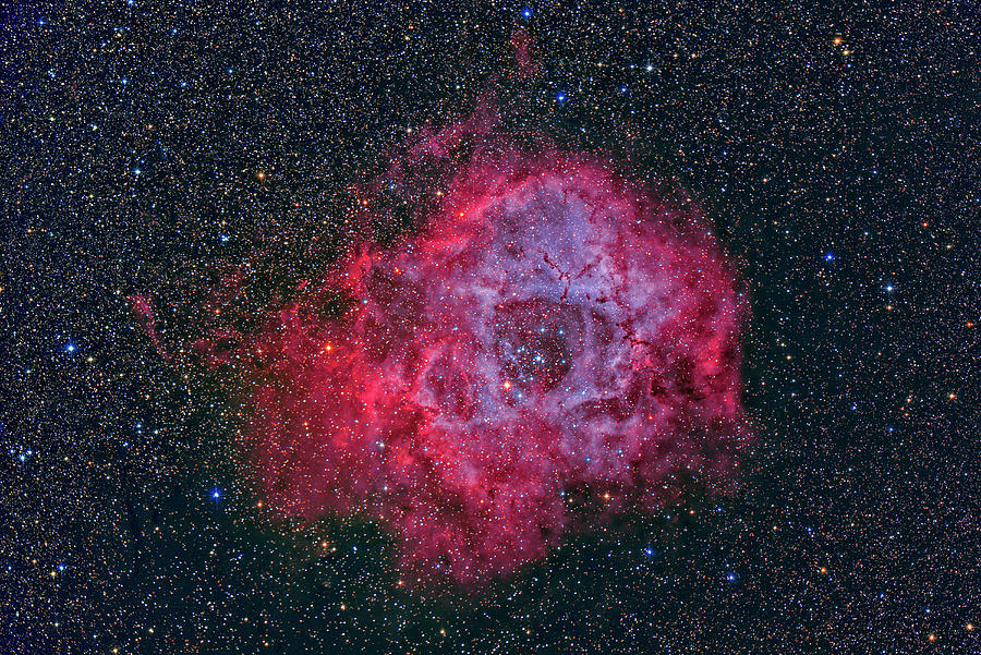 Rosette Nebula Ngc 2244 Photograph by Reinhold Wittich