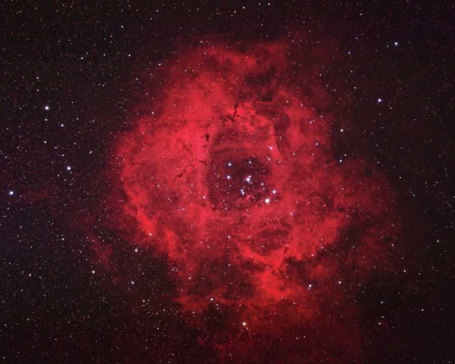 Rosette Nebula Photograph by Pat Gaines