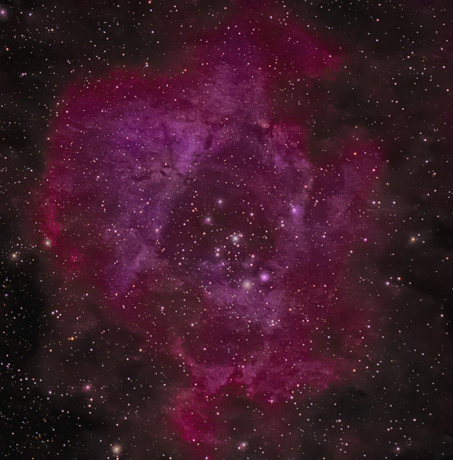 Rosette Nebula: The Cosmic Rose Photograph by Basudeb Chakrabarti