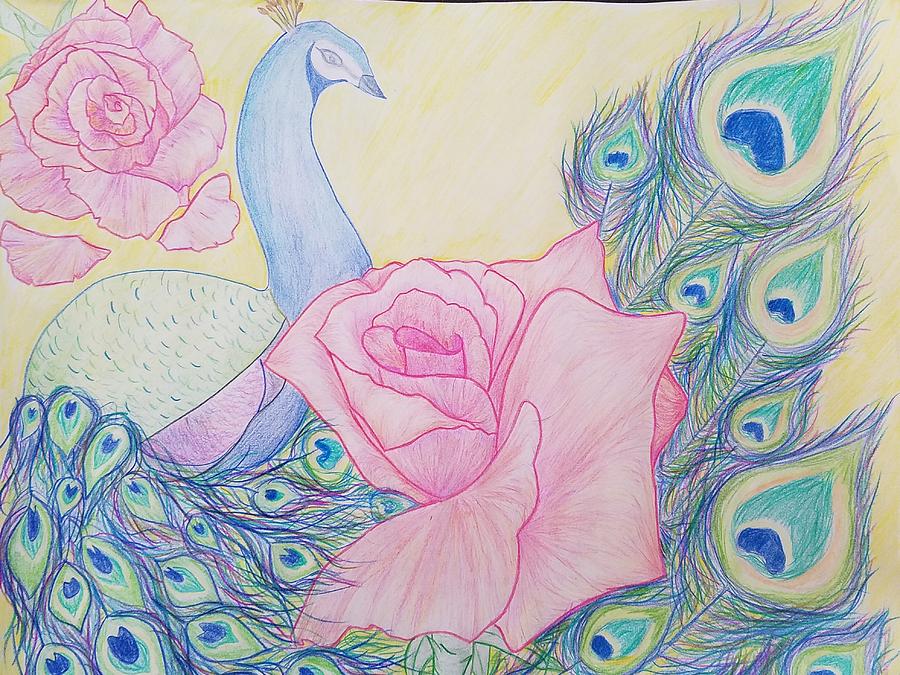 Peacock Drawing - Rosey Peacock by Melissa Maffeo