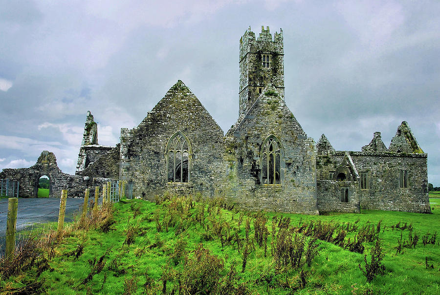 Ross Errilly Friary Photograph by Michelle Mcmahon