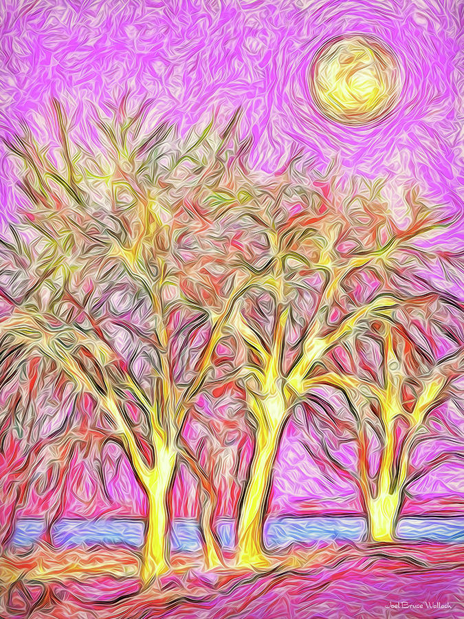 Rosy Hued Trees - Boulder County Colorado Digital Art by Joel Bruce Wallach