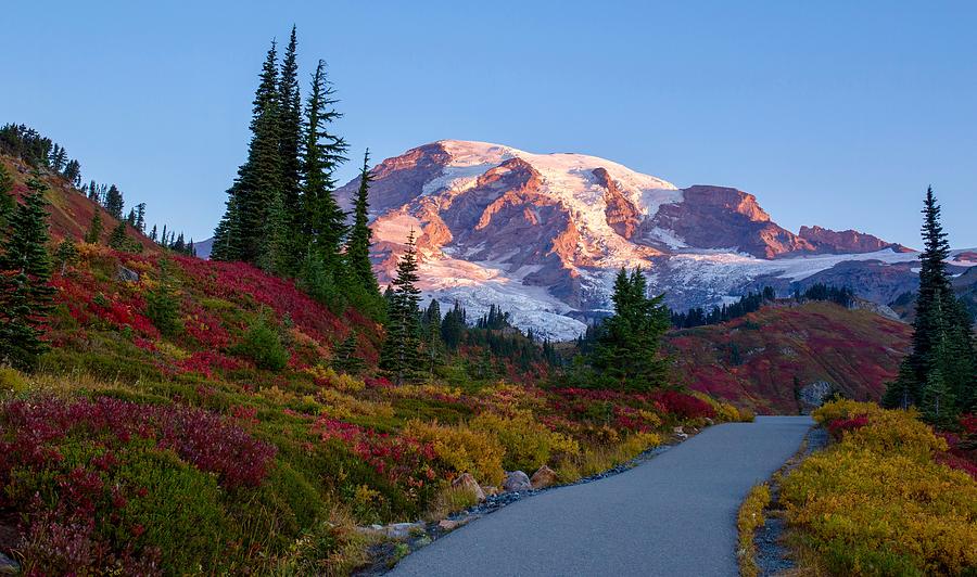 Rosy Mount Rainier Photograph by Lynn Hopwood