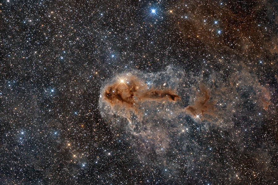 Rotten Fish Nebula Photograph by Vikas Chander