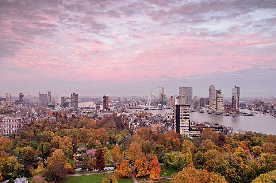 Rotterdam, The City, The Sky and The Park Photograph by Frans Blok