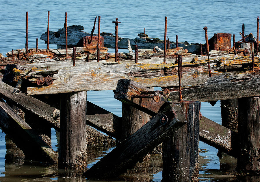 Rotting Dock Photograph by Betty Depee