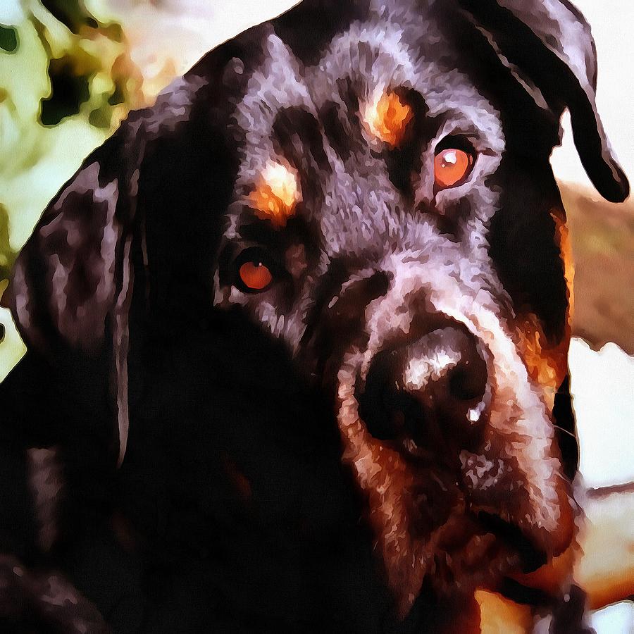 Rottweiler Artistic Pet Portait Painting by Taiche Acrylic Art